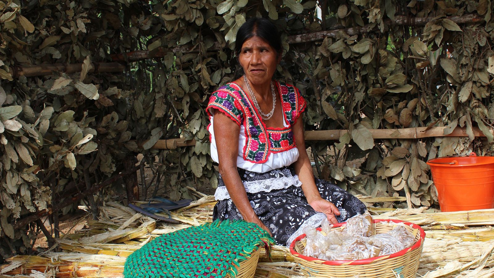 Prevalece la brecha laboral entre mujeres indígenas